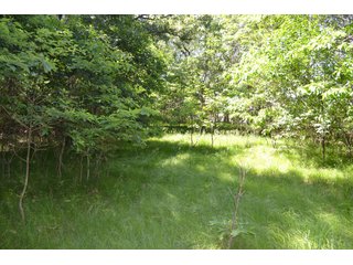 <b>PRICE REDUCED: $5,900 per acre</b><br>
This property offers productive tillable land along with two wooded areas.  Much of the larger woods near the road is on a ridge.  Investigate this area for a potential beautiful homesite as well as for hunting and recreational opportunities. <br>
<b>156.9+/- </b>Total Acres | <b>145.83+/-</b> Tillable Cropland Acres per FSA | <b>10+/-</b> Wooded Acres - 156.9+/- Acres For Sale - Cropland, Woods for Hunting/Recreational & Potential Building Sites